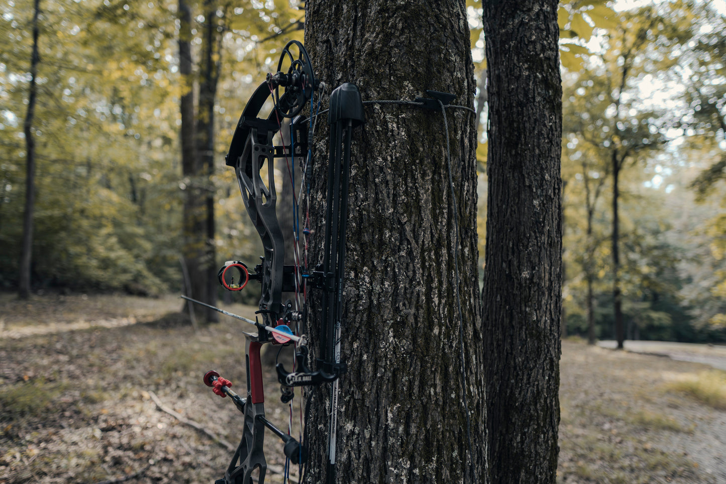Wayward Wire - Ultralight Complete Gear Hanging System