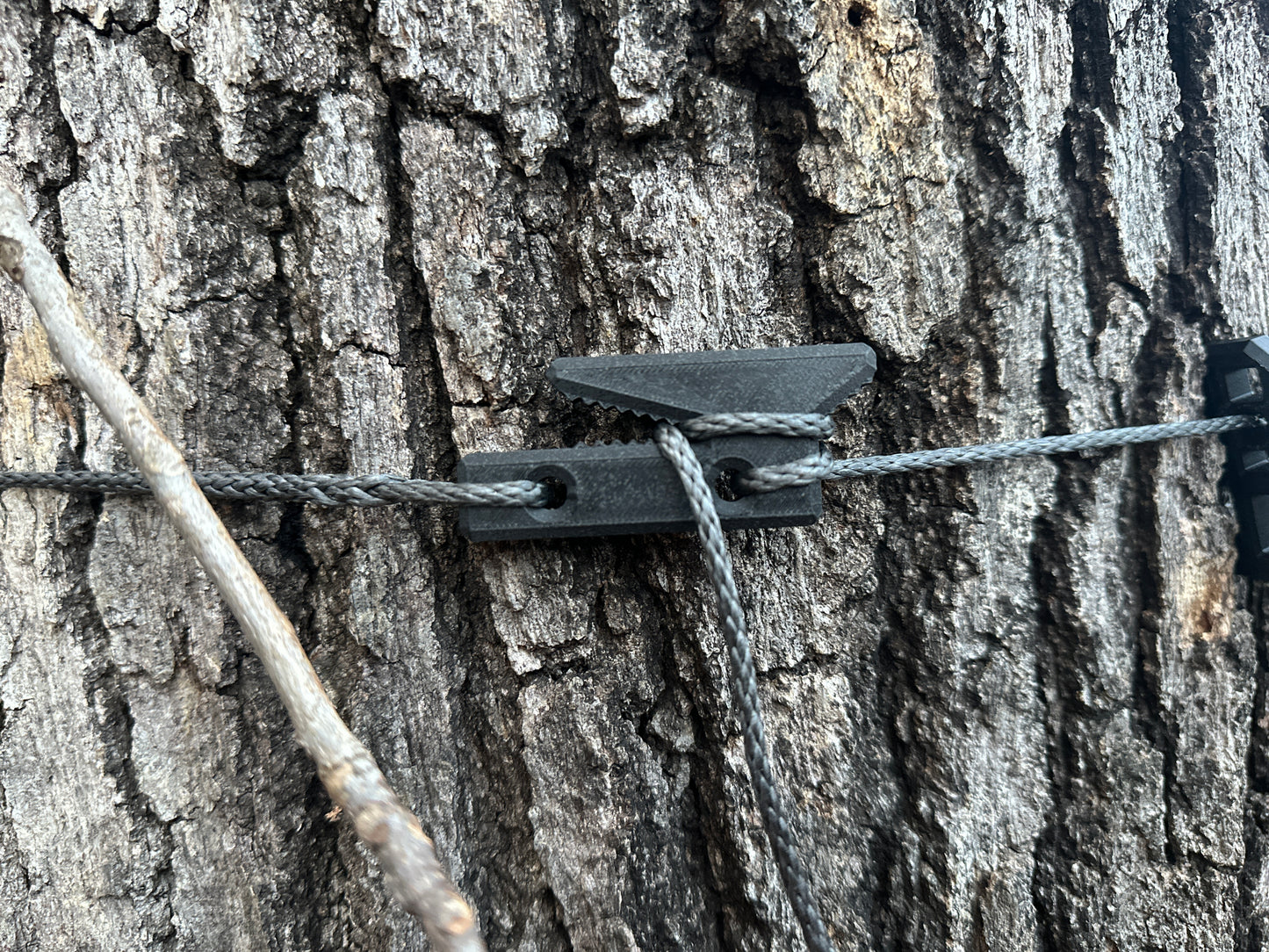 Rope Roost