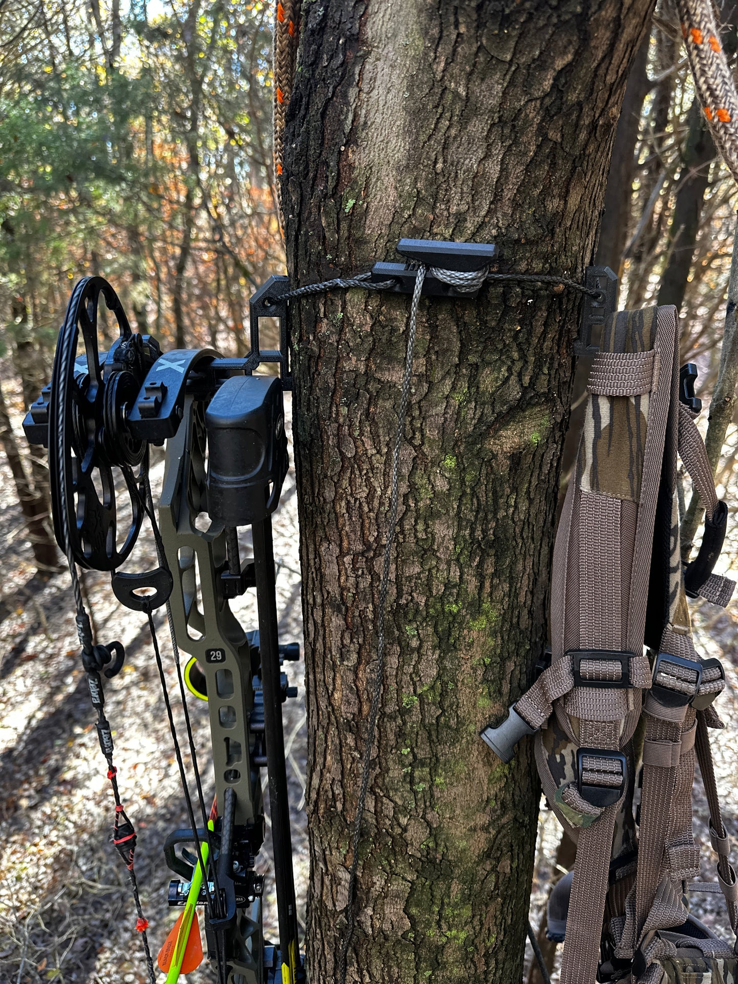 Saddle hunting setup with a wayward wire ultimate gear hanging system, ultralight