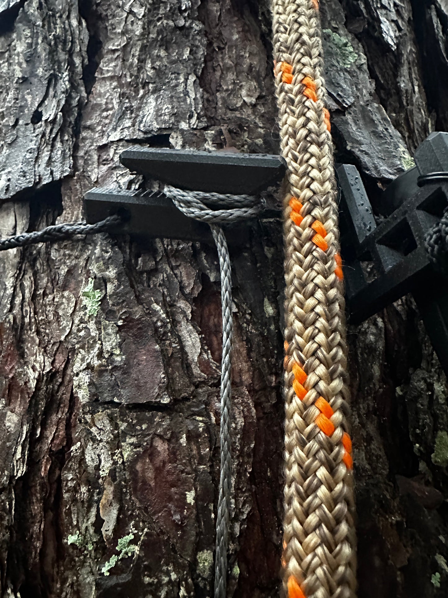 Wayward Wire - Ultralight Complete Gear Hanging System