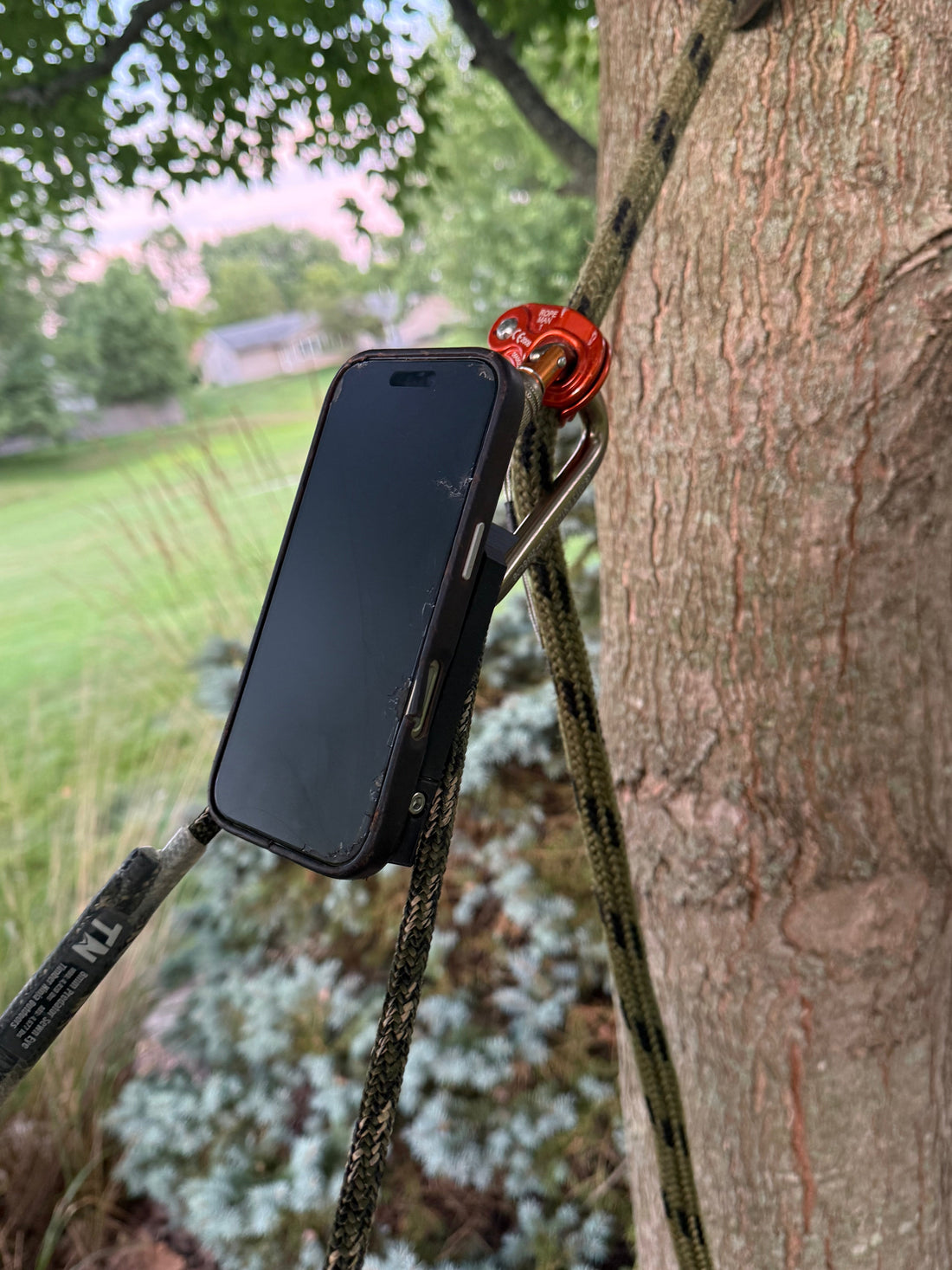 Saddle Hunting Phone Mount: Where to Put Your Phone in the Tree