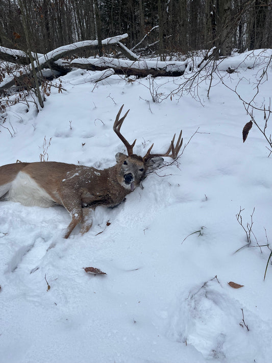 CWD-Smart Field Care: How to Bone Out and Pack a Deer the Right Way